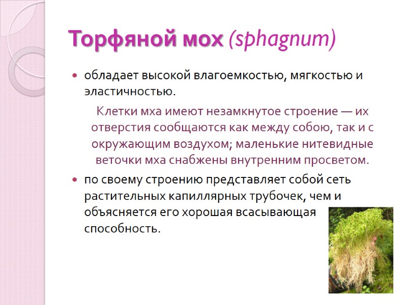 Торфяной мох (sphagnum)  обладает высокой влагоемкостью, мягкостью и эластичностью. Клетки мха имеют незамкнутое